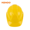 Safety Helmet